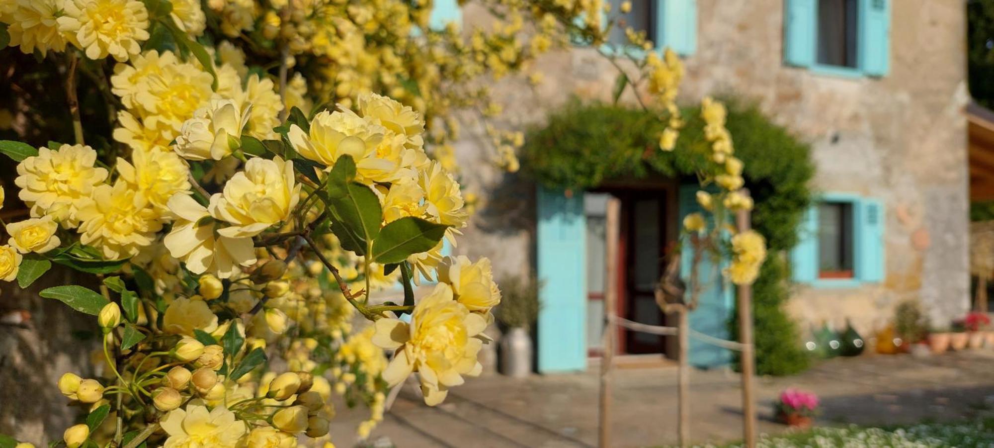 Villa Carla Istrian House, By Istrian Embrace *